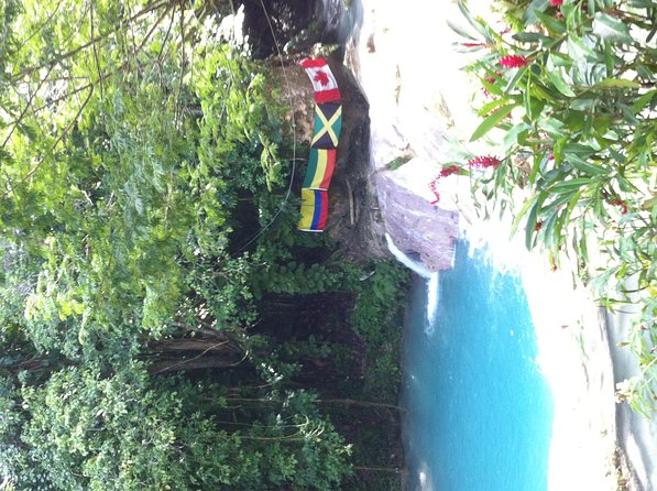 Dunn's River Falls and Jamaica Sightseeing Private Tour - Why this Montego Bay to Dunn’s River trip works