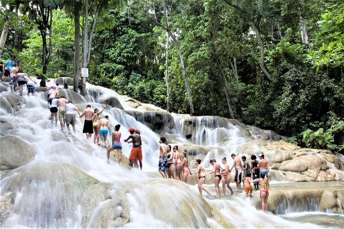 Dunn's River Falls and Ocho Rios Shopping Tour from Montego Bay Hotels - The essential details at a glance