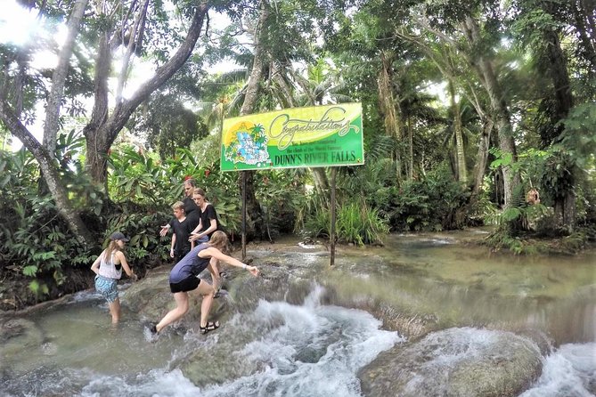 Dunn's River Falls and Ocho Rios Shopping Tour from Montego Bay Hotels - Leaving Montego Bay for Ocho Rios