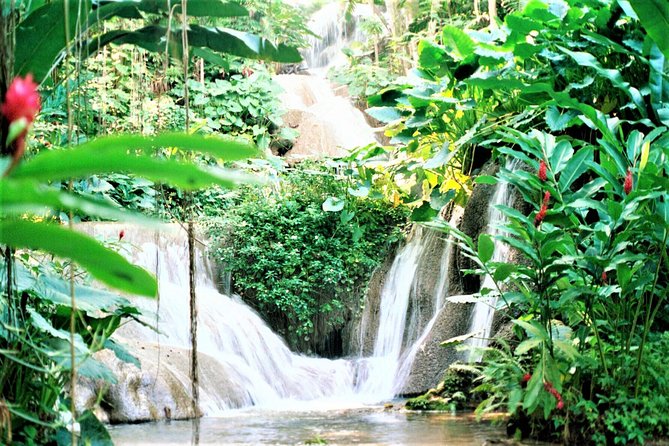 Dunn's River Falls and Ocho Rios Shopping Tour from Montego Bay Hotels - Climbing Dunn’s River Falls, step by slippery step