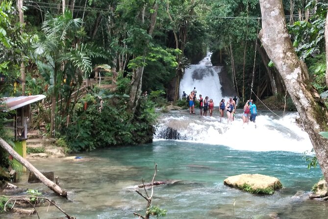 Dunn's River Falls & Blue Hole from Montego Bay or Falmouth - Why the private vehicle matters