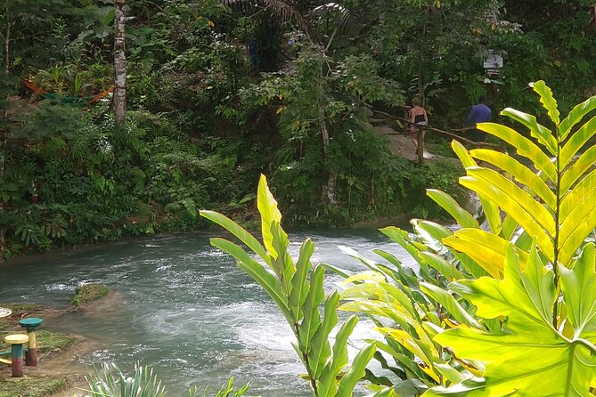 Dunn's River Falls & Blue Hole Tour from Montego Bay - Scotchies adds food, but lunch is not part of the price
