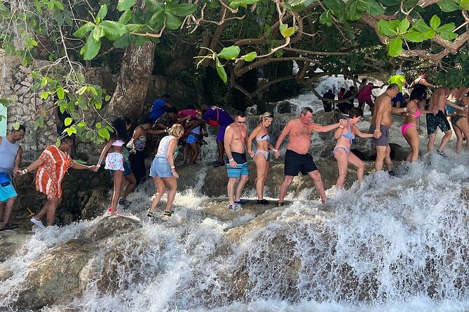 Dunn's River Falls Climb and Beach Include Entry Fee (ᵔᵕᵔ) - What the feedback tells you about the day