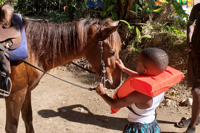 Dunn's River Falls Climb, Zipline and Horseback Riding Private Tour - What to pack for a wet and active day
