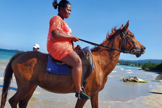 Dunn's River Falls Climb, Zipline and Horseback Riding Private Tour - Who should book this combination?