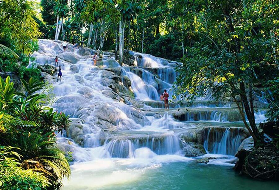 Dunn's River Falls Day Tour - Key points to know before you book