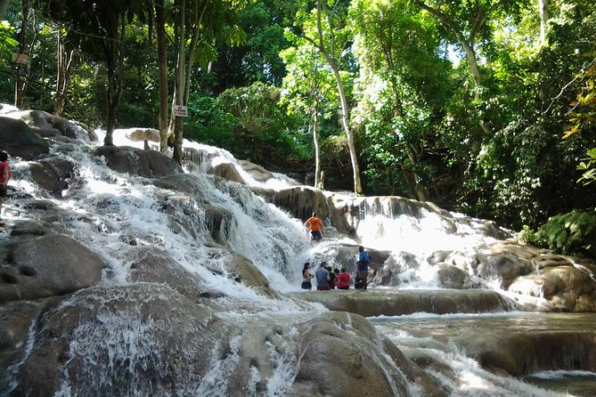 Dunn's River Falls excursion from Montego Bay - Key points to know before you book