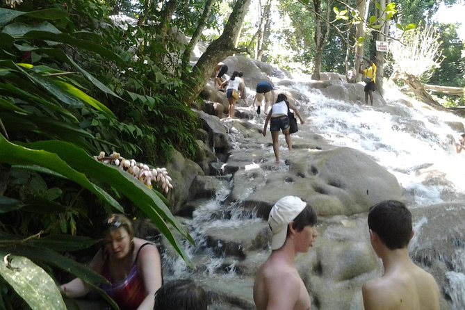 Dunn's River Falls excursion from Montego Bay - The 8:00 am pickup from Montego Bay