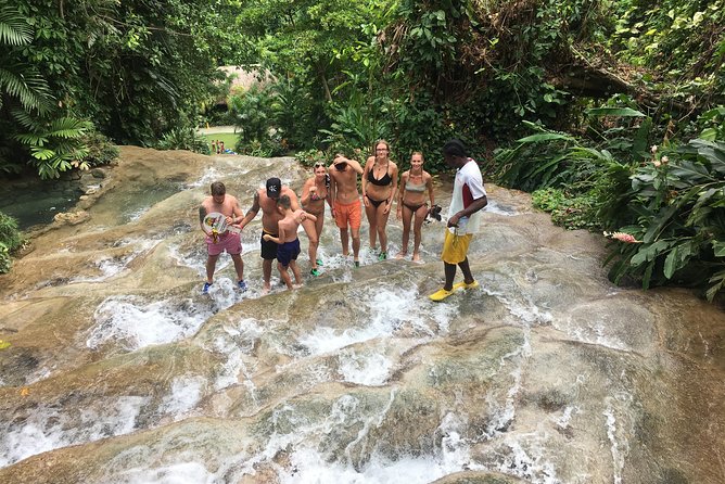 Dunn’s River Falls & Horse Back Riding Transportation Only - Cruise port timing needs care