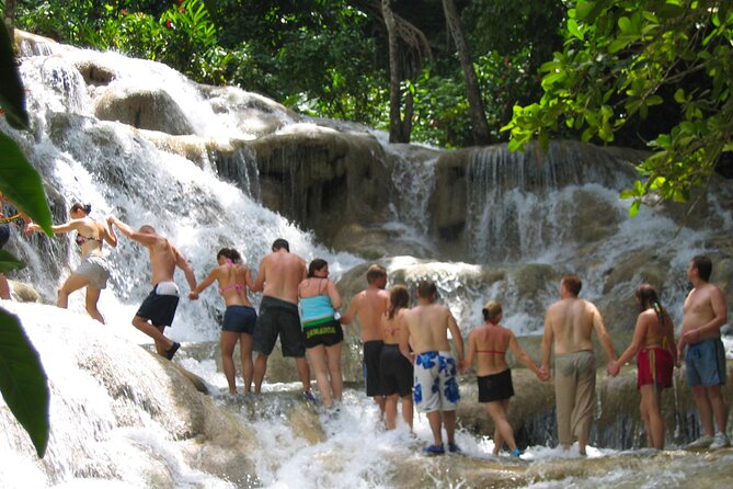 Dunn's River Falls & Luminous Lagoon Guided Tour from Montego Bay - Discovery Bay and the north coast