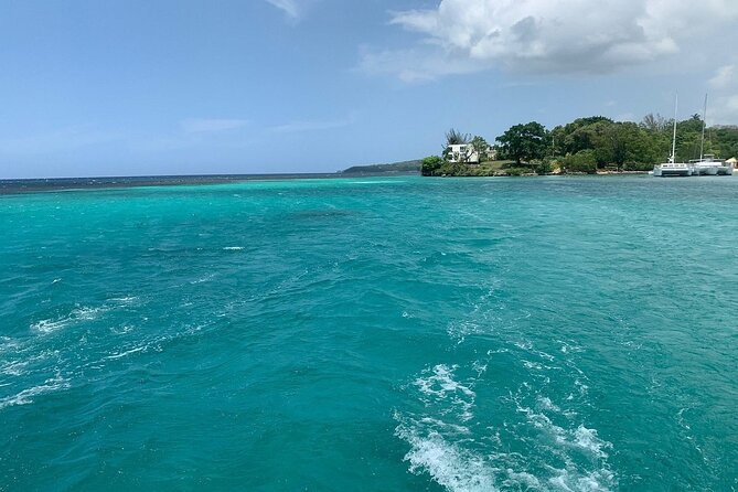 Dunn's River Falls Party Cruise, Blue Hole with Snorkeling, free beverages - Who should book this Jamaican outing?