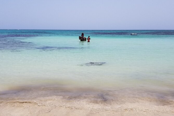 Dunn's River Falls, River Tubing, and Horseback Riding With Transportation - Why the private driver may be worth the higher price