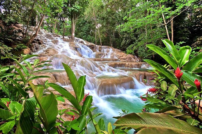 Dunn's river falls, shopping and lunch - Key Points to Know Before You Go