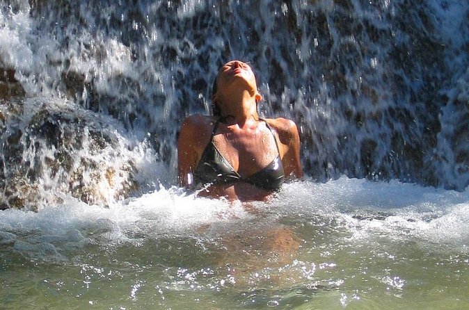 Dunn's river falls, shopping and lunch - An Included Jerk Lunch in Jamaica