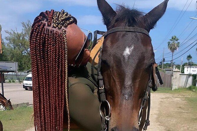 Dunn’s River Falls,Zip lining & horseback riding Combo tour from Montego Bay - What the $300 price really includes