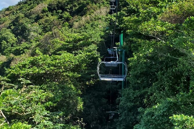 Dunn’s River Falls,Zip lining & horseback riding Combo tour from Montego Bay - Timing, weather, and cancellation details