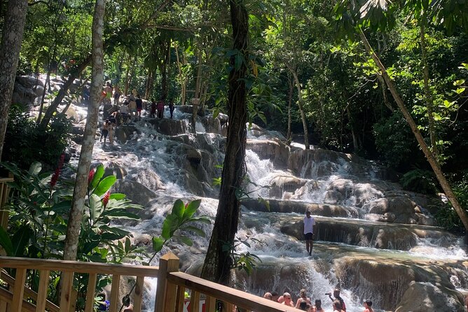 Dunn's River Falls, Zipline Adventure from Kingston - Flying above the waterfall
