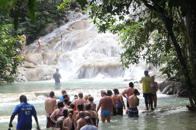 Dunns River Falls & Bob Marley - Private transportation and group size