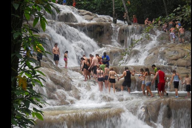 Dunns River Falls & Bob Marley - Booking, timing, and cancellation