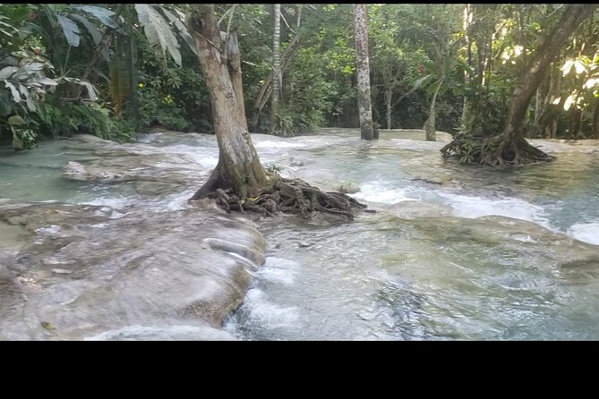 Dunns River Falls Experience from Montego Bay Resorts - From freshwater pools to the Caribbean beach