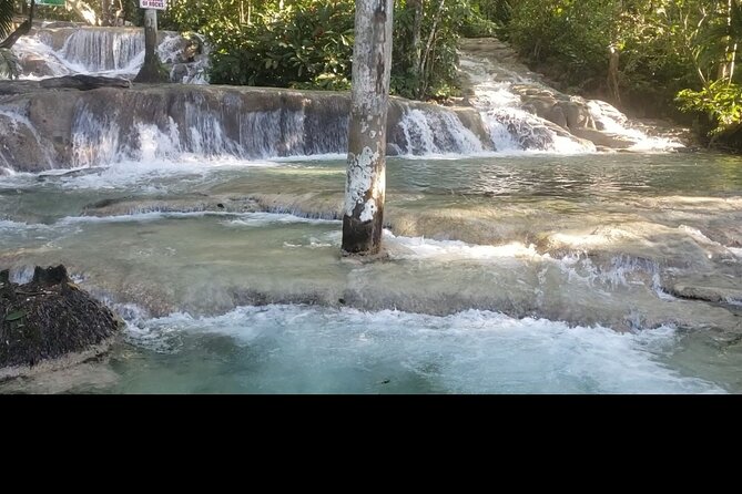 Dunns River Falls Experience from Montego Bay Resorts - The guide question you should settle first