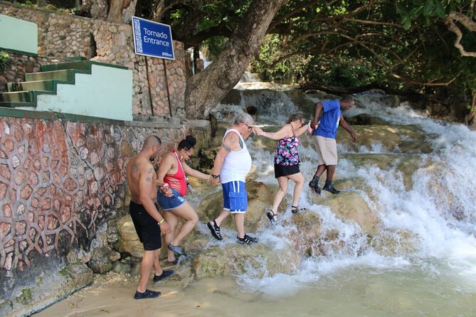 Dunns River Falls Half Day Private Tour Including Entry Fee. - Who will enjoy this private excursion