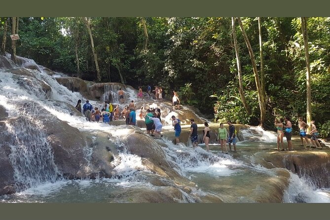 Dunns River Falls Private Day Tour - Who Should Book This Falls Trip?