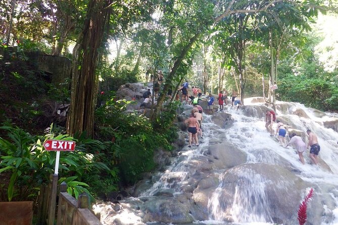 Dunns River Falls Private Day Tour - Entering Dunn’s River Falls And Park