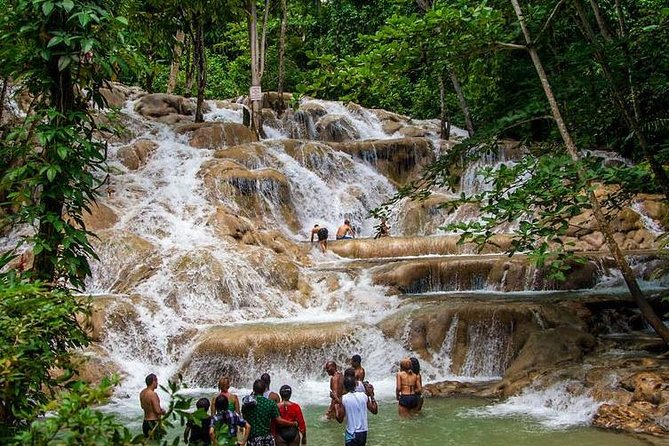 Dunns River Falls Scenic Tour - Key Points About This Kingston Excursion