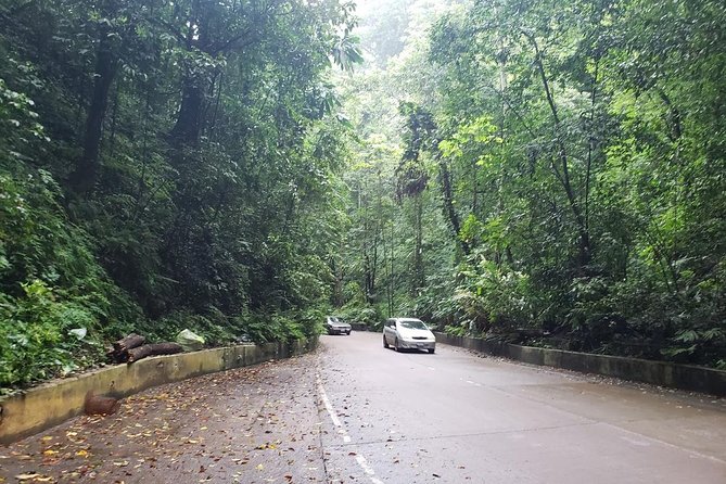 Dunns River Falls Scenic Tour - Going Beyond the Main Falls Route