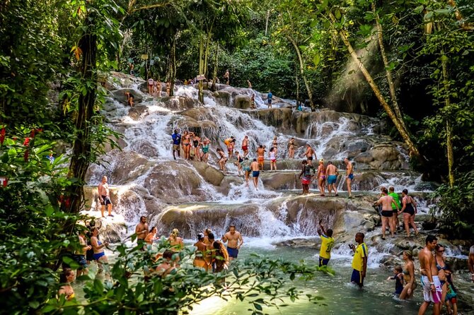 Dunns River Falls, Zipline, Bamboo Rafting, Horseback Ride Tour - Who should book this Ocho Rios tour?