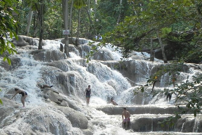 Dunns River Tour - What the private guide adds