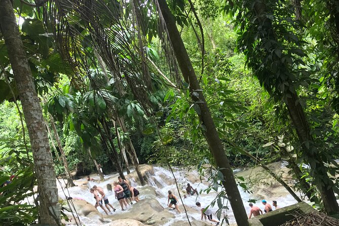 Dunns River Tour - The drive and private vehicle arrangement