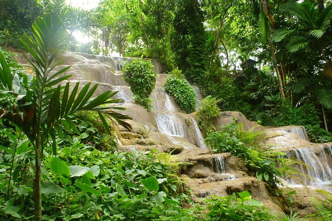 Eco Explorers Waterfall, Rainforest, local Shopping with lunch - Fern Gully: a scenic forest ride from your seat