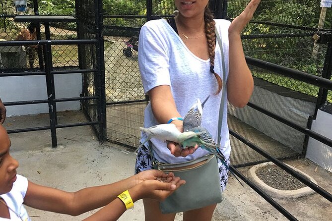 Eco Explorers Waterfall, Rainforest, local Shopping with lunch - Taj Mahal Shopping Center and the souvenir question