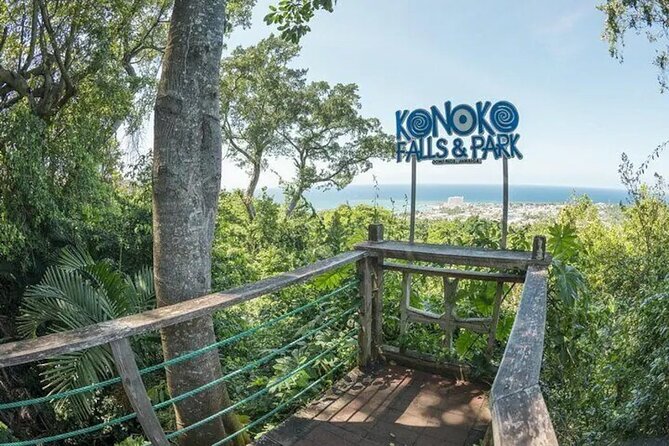 Eco Explorers Waterfall, Rainforest, local Shopping with lunch - The pace, group size, and daily schedule