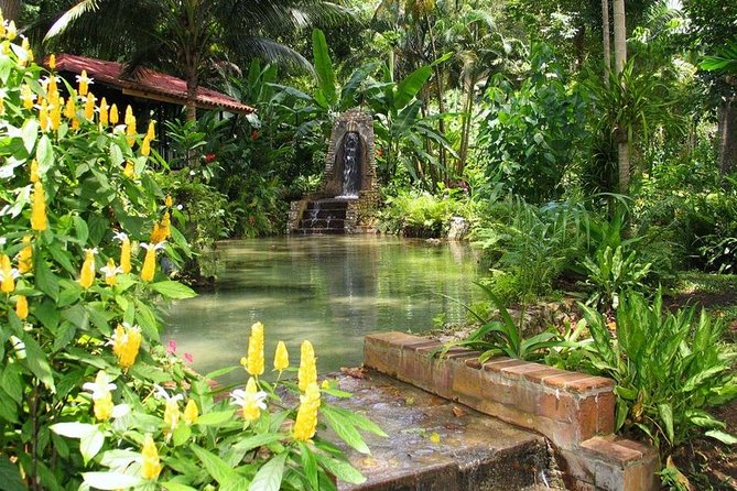 Eco Explorers Waterfall, Rainforest, local Shopping with lunch - Riding through Jamaica with a local guide