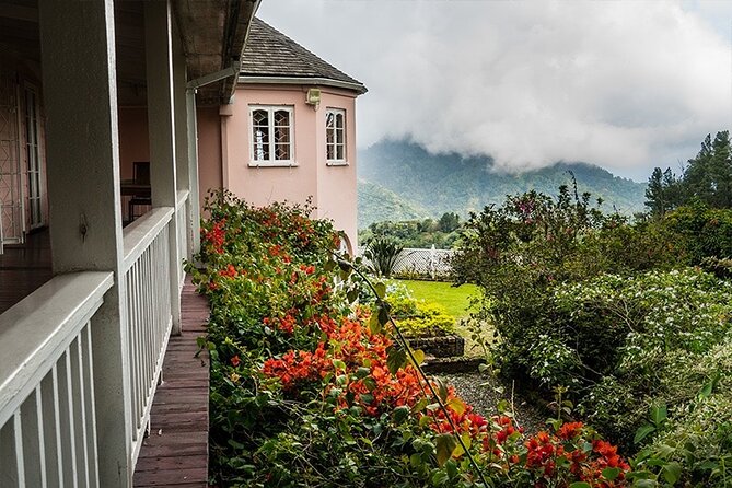 Exotic Blue Mountain Coffee Tour - Optional Strawberry Hill stop