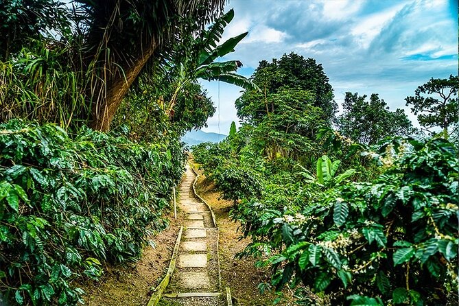 Exotic Blue Mountain Coffee Tour - Adding the Bob Marley Museum