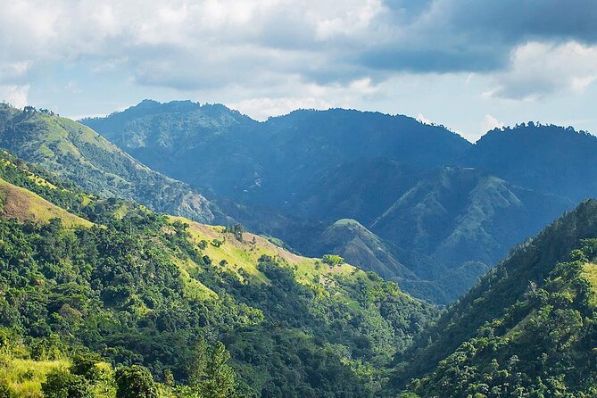 Exotic Blue Mountain Coffee Tour - Climbing into the Blue Mountains