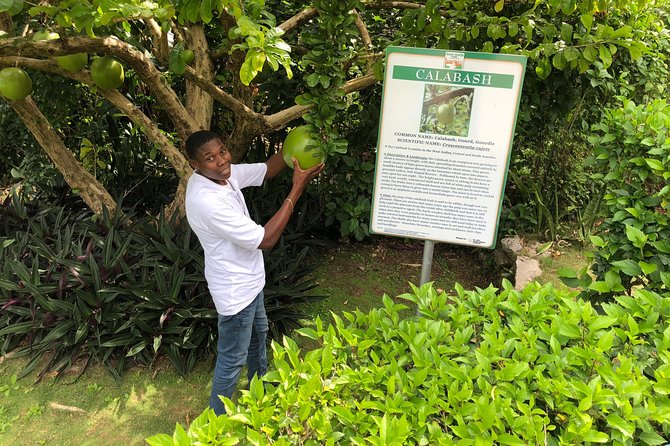 Explore Montego Bay Jamaica Private Tour to Green Gratto Cave - Timing, pickup, and the real cost