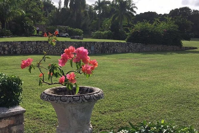 Explore Montego Bay Jamaica Rose Hall Great House Day/Night Tour - Cancellation and weather rules