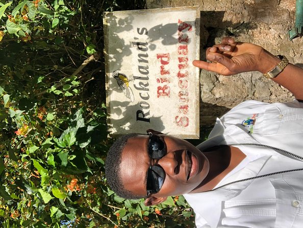 Explore Montego Bay Private Highlight Tour from Montego Bay - Why the Private Format Helps