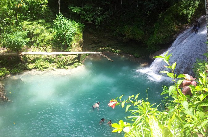 Falmouth Dunns River Falls and Blue Hole Excursion - Lunch, Photos, and Optional Stops