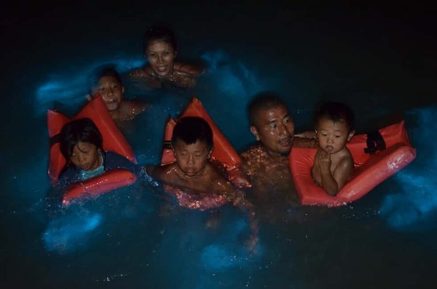 Falmouth: Luminous Lagoon Boat Tour - Swimming in the glowing water