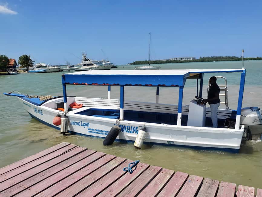Falmouth: Luminous Lagoon Boat Tour - What the $25 price really covers
