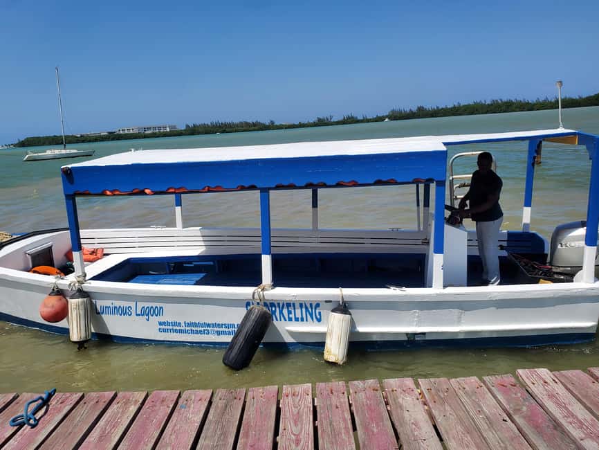 Falmouth: Luminous Lagoon Boat Tour - Who will enjoy this evening outing