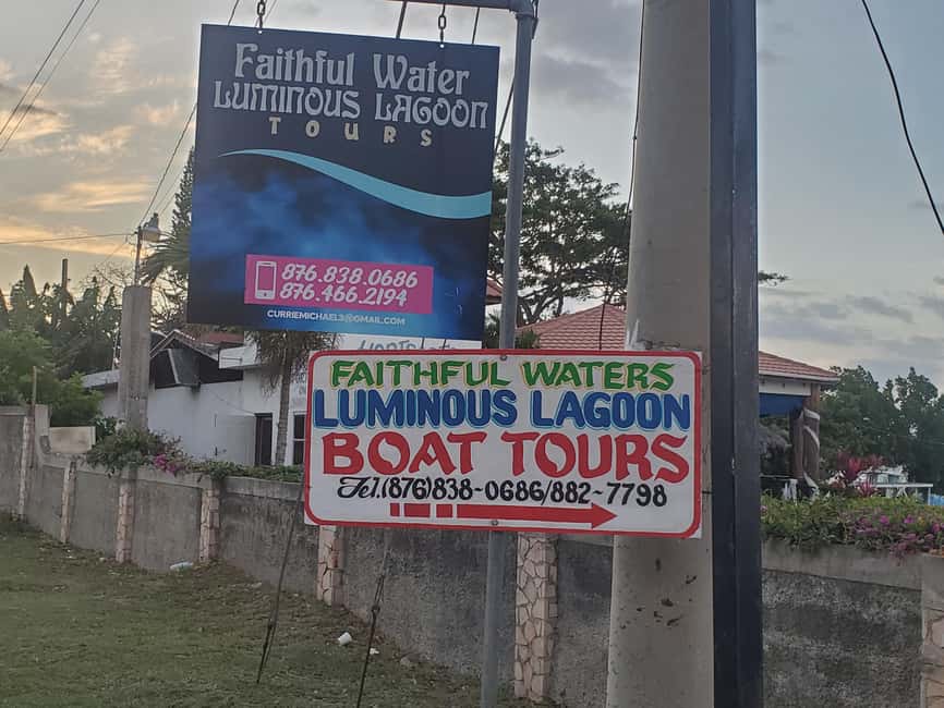 Falmouth: Luminous Lagoon Boat Tour - Should you book the Luminous Lagoon tour?