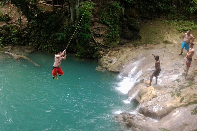 Falmouth Shore Excursion Blue Hole and Dunn's River Falls Combo - What the strongest service feedback tells you