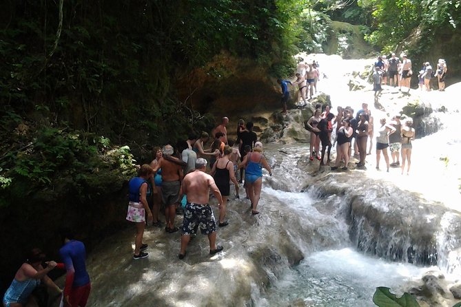 Falmouth Shore Excursion Blue Hole and Dunn's River Falls Combo - Who should book this tour?